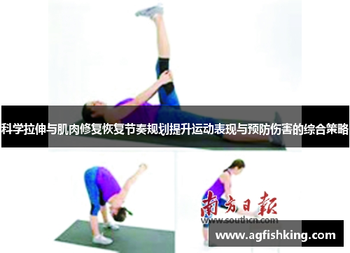 科学拉伸与肌肉修复恢复节奏规划提升运动表现与预防伤害的综合策略