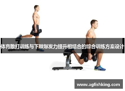 体育散打训练与下肢爆发力提升相结合的综合训练方案设计